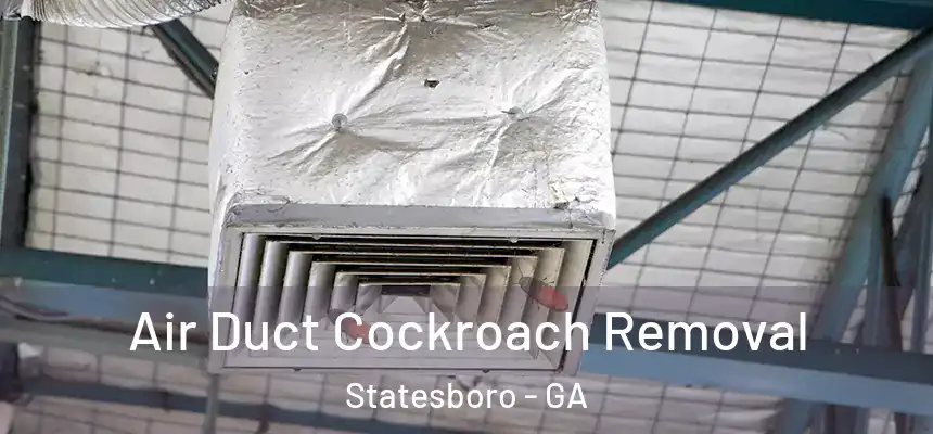  Air Duct Cockroach Removal Statesboro - GA