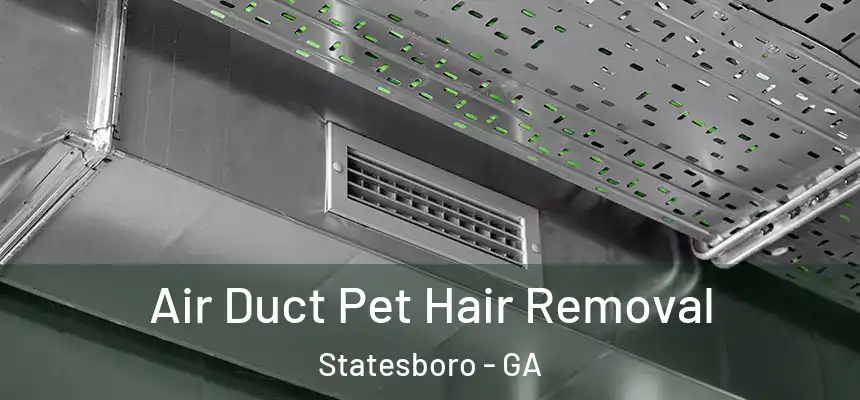 Air Duct Pet Hair Removal Statesboro - GA