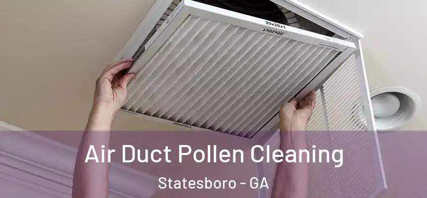 Air Duct Pollen Cleaning Statesboro - GA