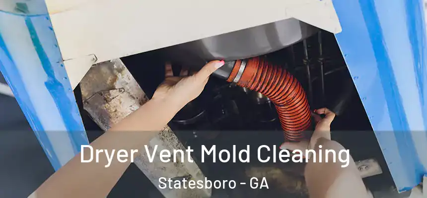 Dryer Vent Mold Cleaning Statesboro - GA