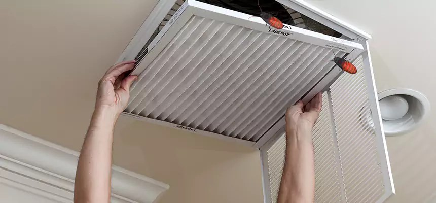 Preventive Cockroach-Proofing for Ducts in Statesboro