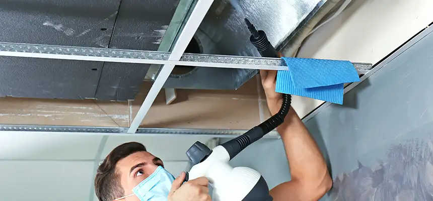 Our Air Duct Rodent Removal Services in Statesboro, GA