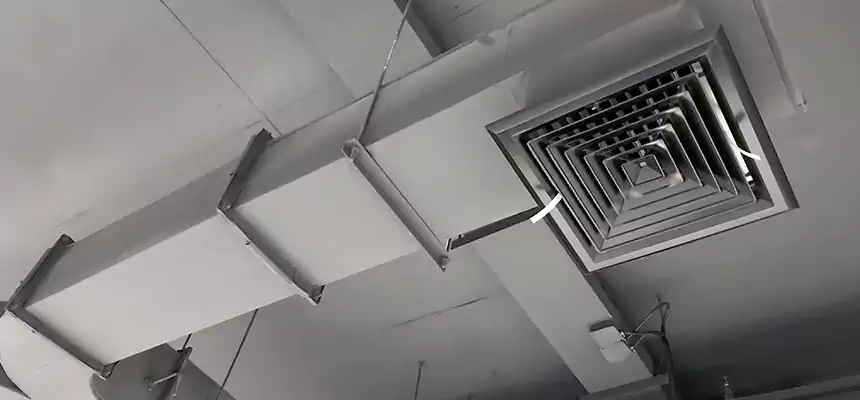 Restorative Allergy Relief Vent Cleaning – Coil, Blower & Housing Detail in Statesboro