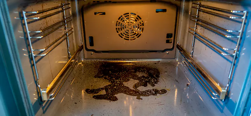 Our Dryer Vent Mold Cleaning Services in Statesboro, GA