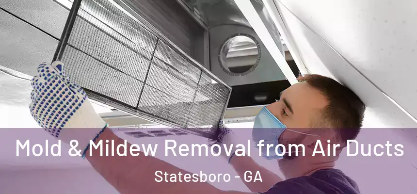  Mold & Mildew Removal from Air Ducts Statesboro - GA