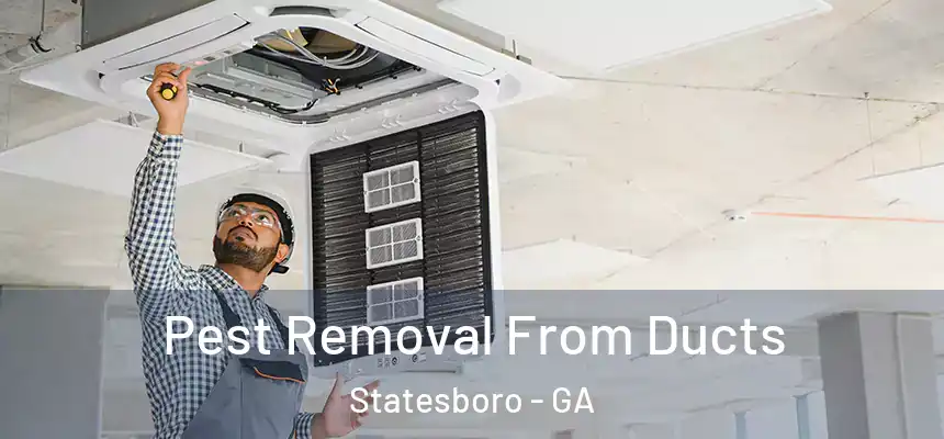  Pest Removal From Ducts Statesboro - GA