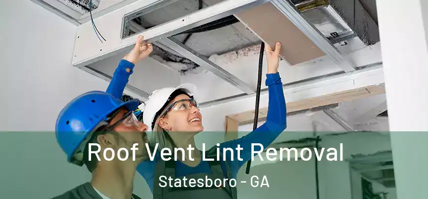 Roof Vent Lint Removal Statesboro - GA
