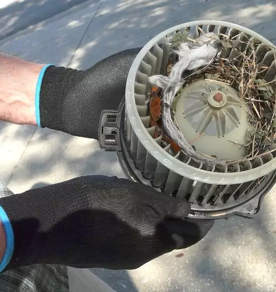 About Air Duct Mice Removal in Statesboro, GA