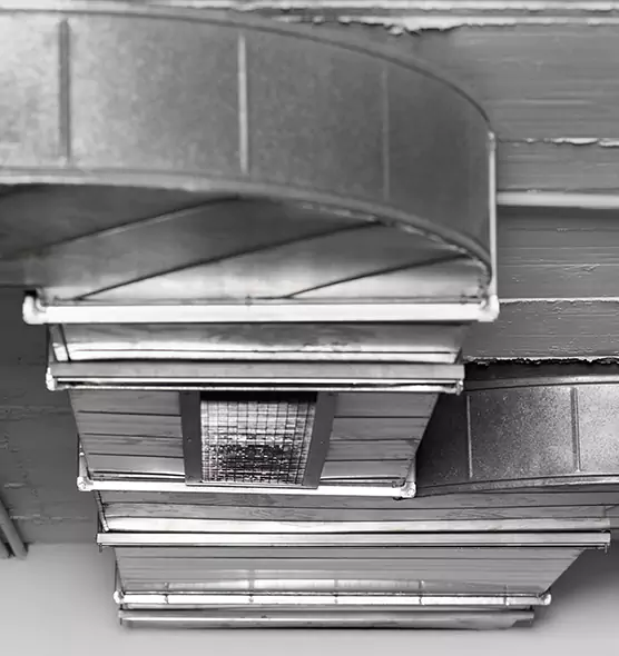 Professional Air Duct Pest Removal in Statesboro, GA