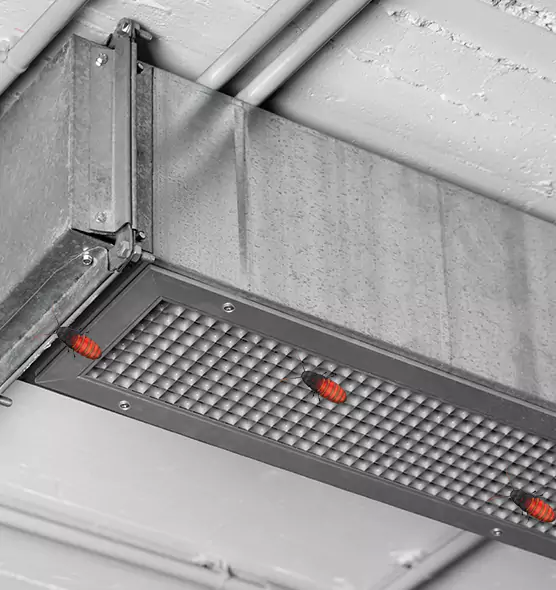Affordable Insect Removal from Air Ducts in Statesboro, GA