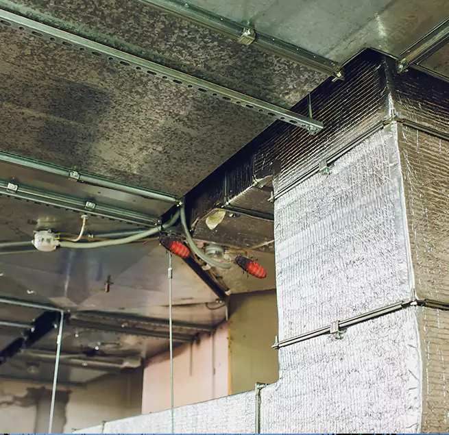 Why Homeowners & Businesses Trust Us in Statesboro, GA?